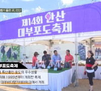 매력 만점 안산을 유튜브로… 국민 MC 강호동 출연 “강호동네방네” 공개